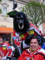 Kosice (54)